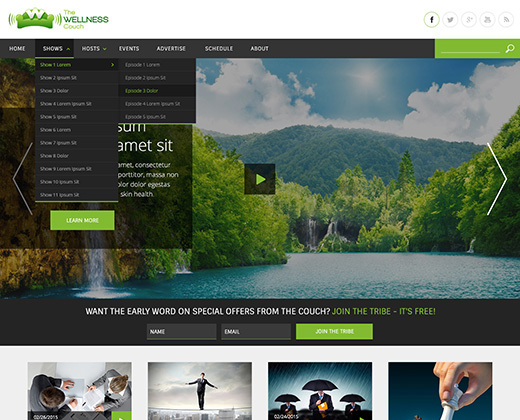 thewellnesscouch.com